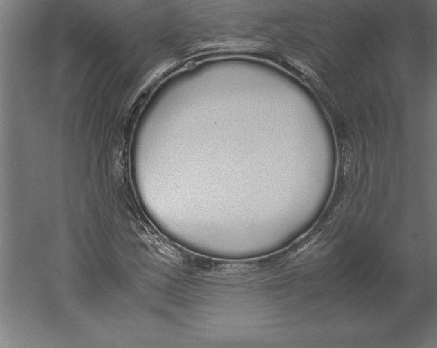 X0000060261163200511241420