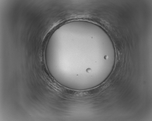 X0000060261165200511241420