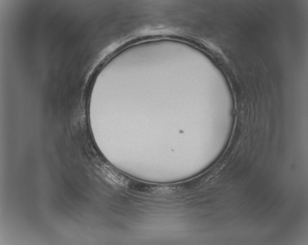 X0000060261167200511241419