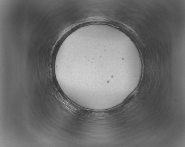 X0000060261168200511241419