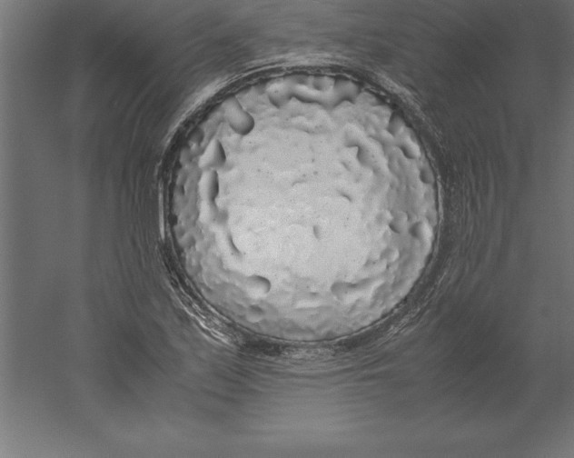 X0000060261171200511241419