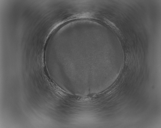 X0000060261174200511241419