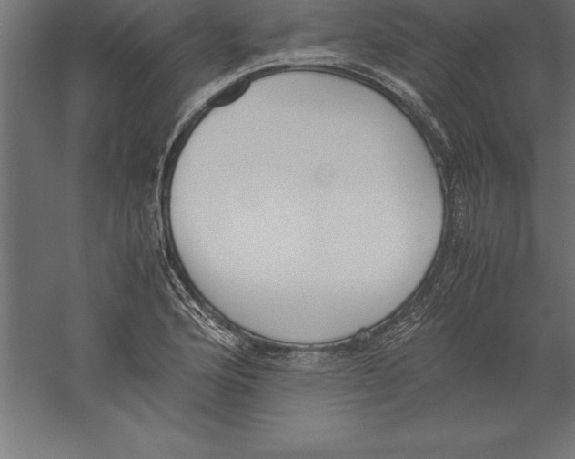 X0000060261176200511241419