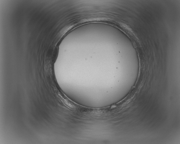 X0000060261177200511241419