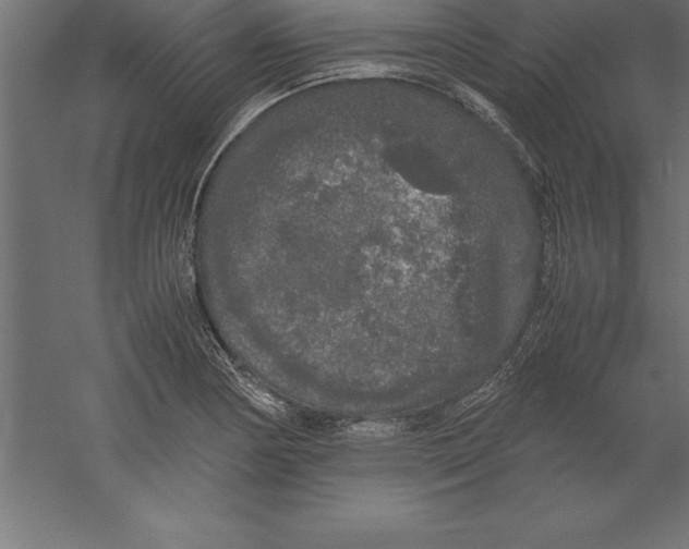 X0000060261178200511241419