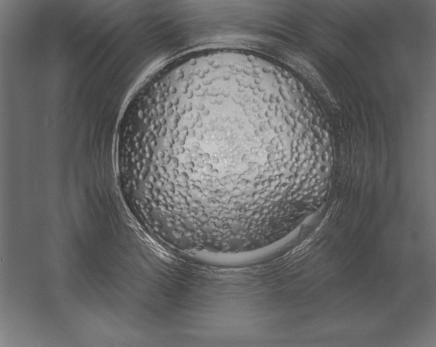 X0000060261180200511241419