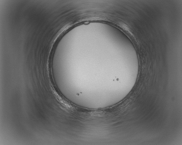 X0000060261181200511241419