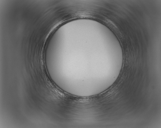 X0000060261182200511241419