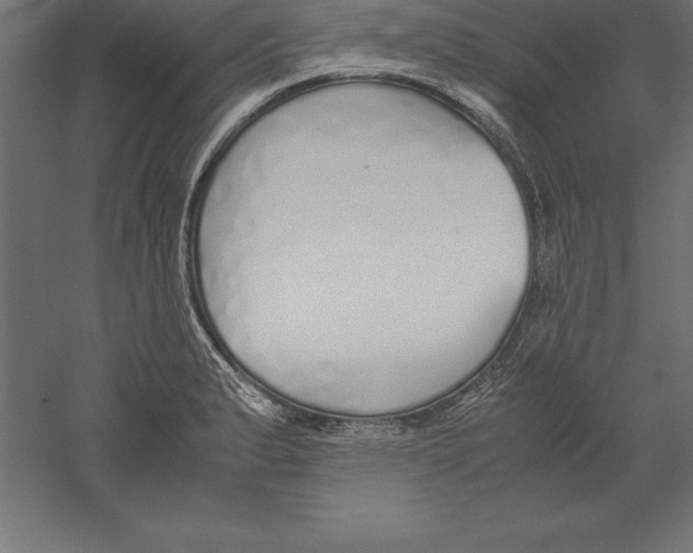 X0000060261183200511241419