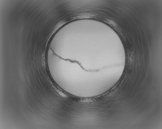 X0000060261186200511241419