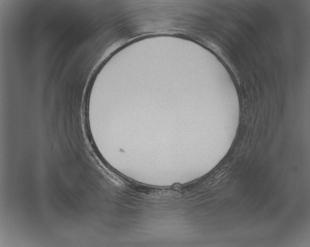 X0000060261187200511241419