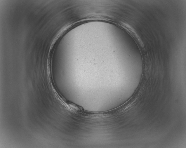 X0000060261188200511241419