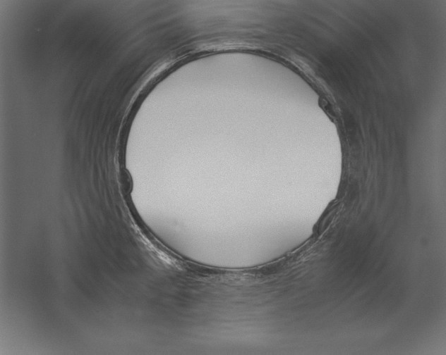 X0000060261189200511241419