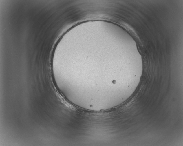 X0000060261192200511241419