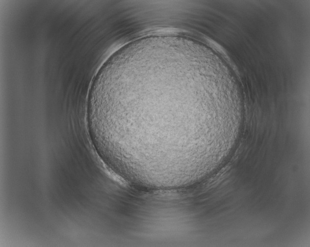 X0000060261194200511241419