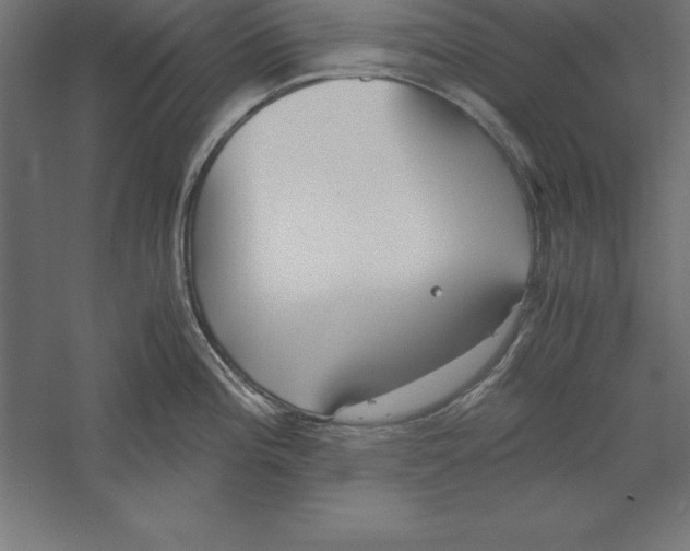 X0000060261196200511241419