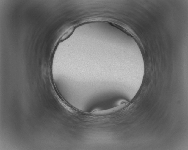 X0000060261197200511241419