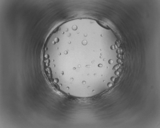 X0000060261198200511241419