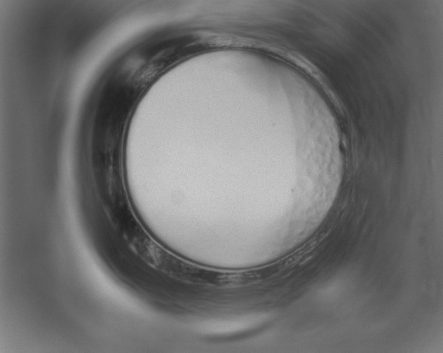 X0000060261199200511241419