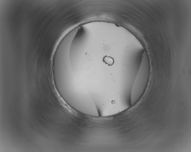 X0000060261200200511241419