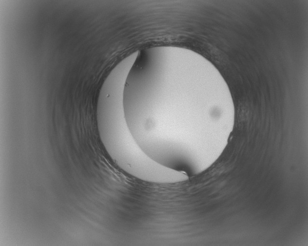 X0000060261202200511241418