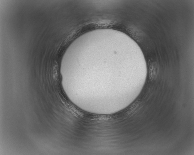 X0000060261204200511241418