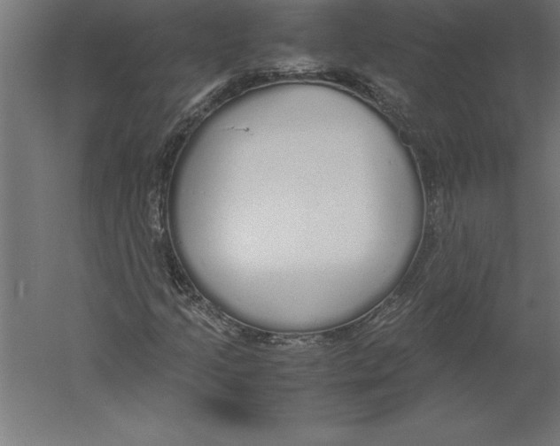 X0000060261205200511241418