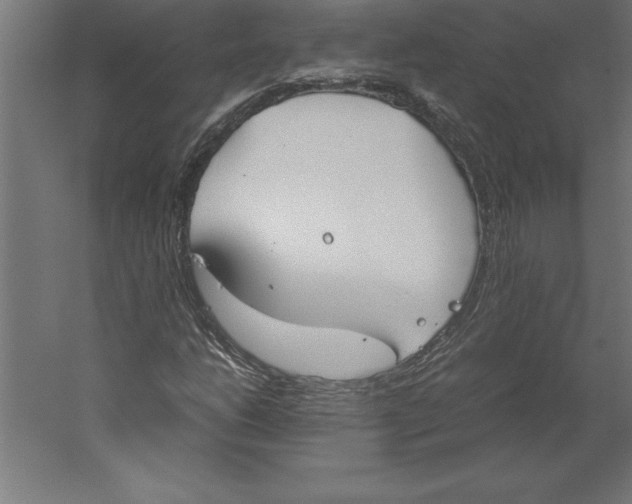 X0000060261206200511241418