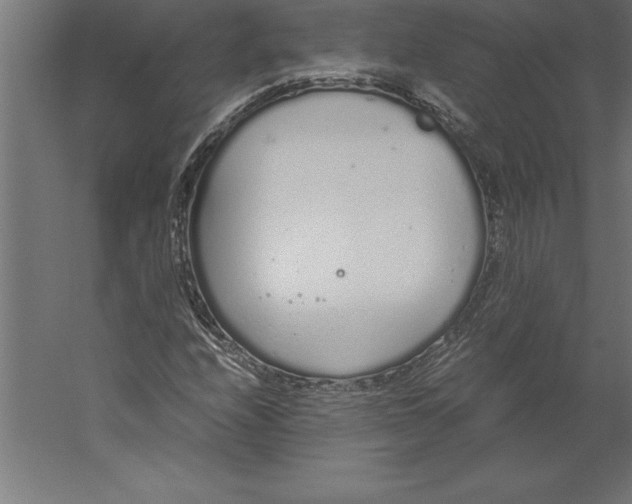 X0000060261208200511241418