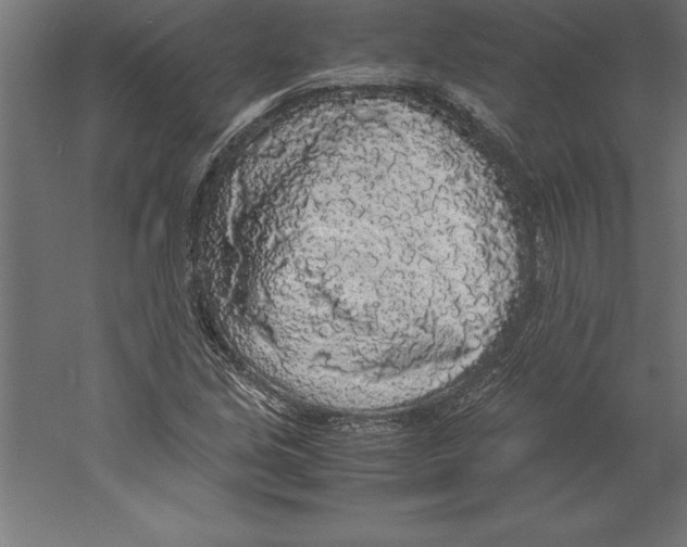 X0000060261213200511241418