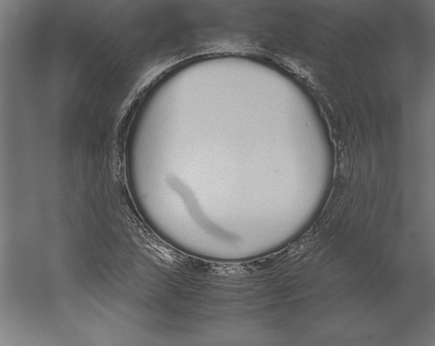 X0000060261215200511241418