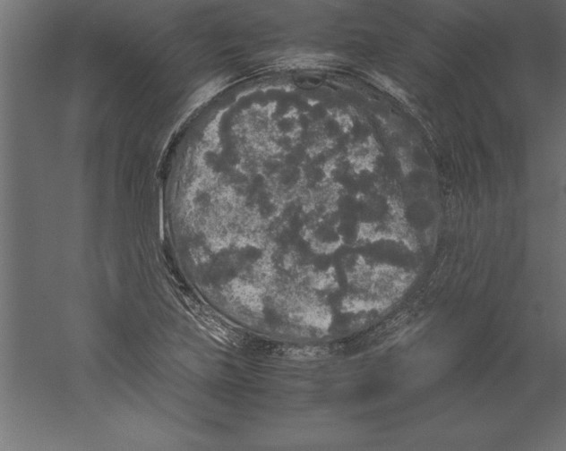 X0000060261219200511241418