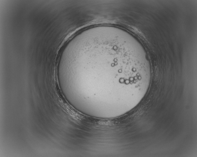 X0000060261220200511241418