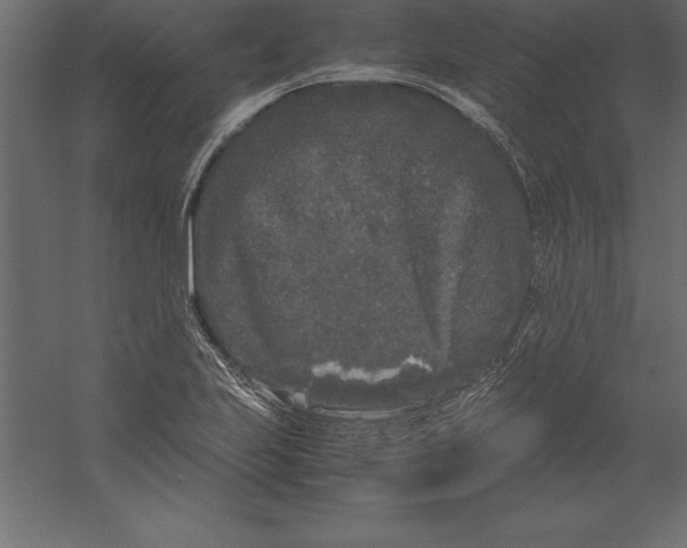 X0000060261223200511241418