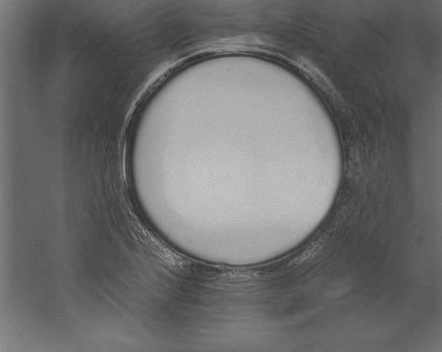 X0000060261224200511241418