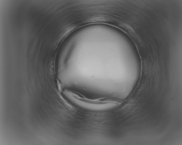 X0000060261225200511241419