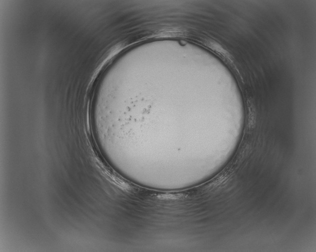 X0000060261227200511241419