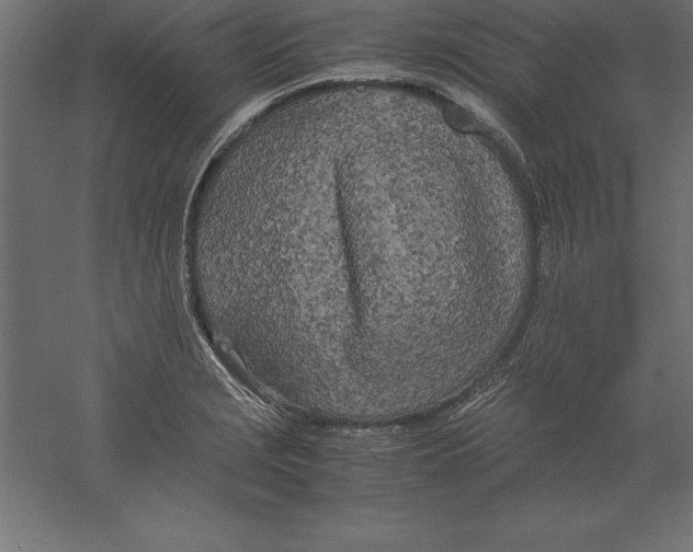 X0000060261229200511241419