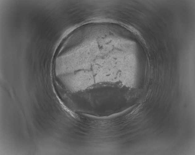 X0000060261231200511241419