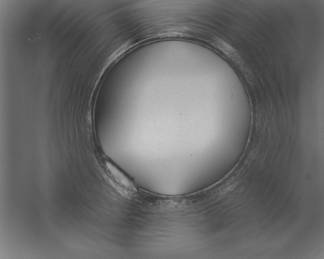 X0000060261234200511241419