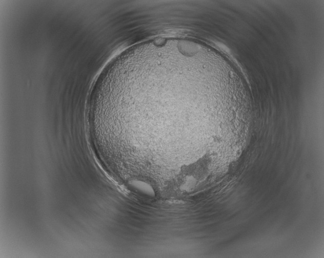 X0000060261235200511241419