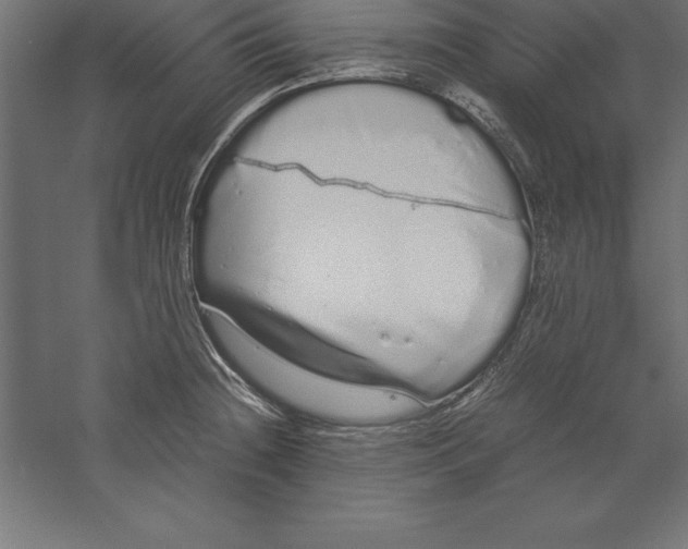 X0000060261236200511241419