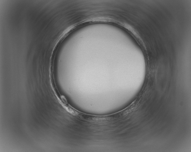 X0000060261237200511241419