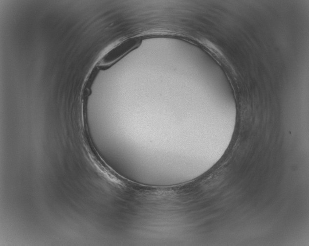 X0000060261238200511241419