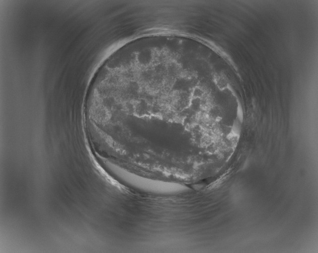 X0000060261239200511241419