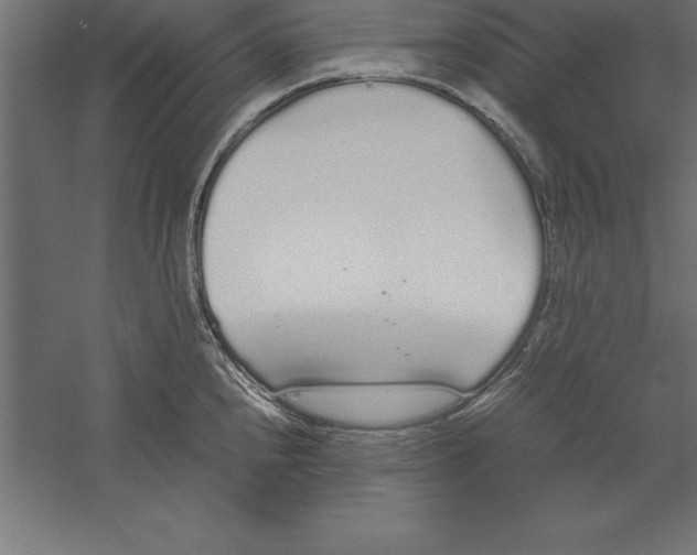 X0000060261240200511241419