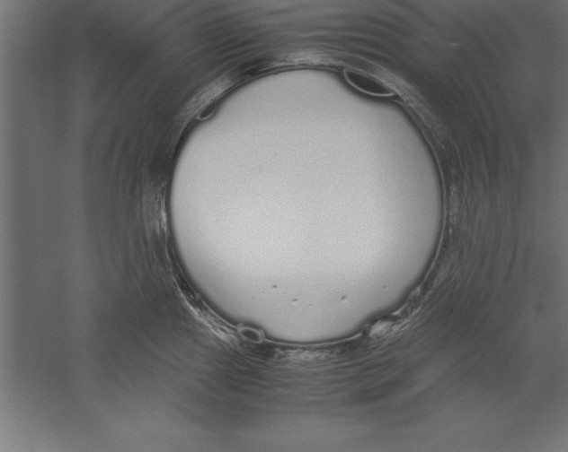 X0000060261241200511241419