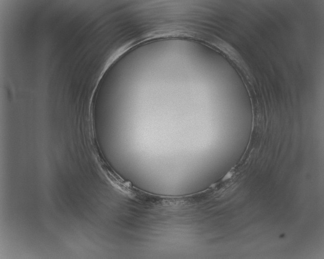 X0000060261242200511241419