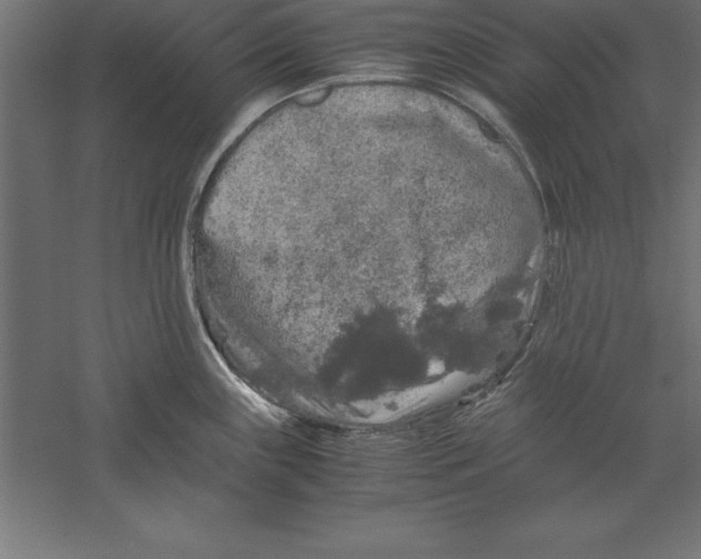 X0000060261243200511241419