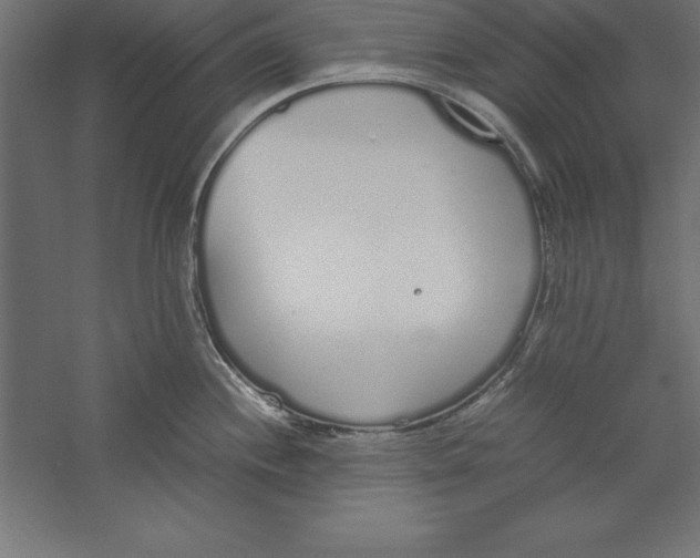 X0000060261244200511241419